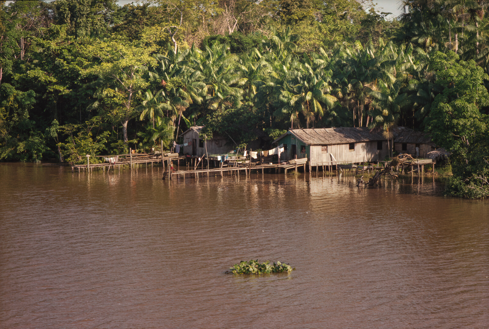 Amazonas